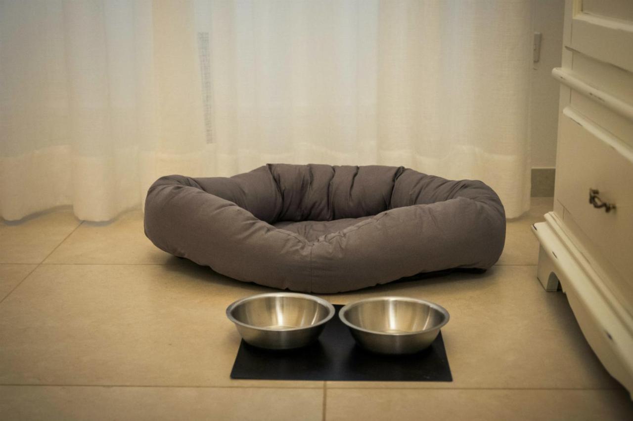 Bed & Breakfast Amate
